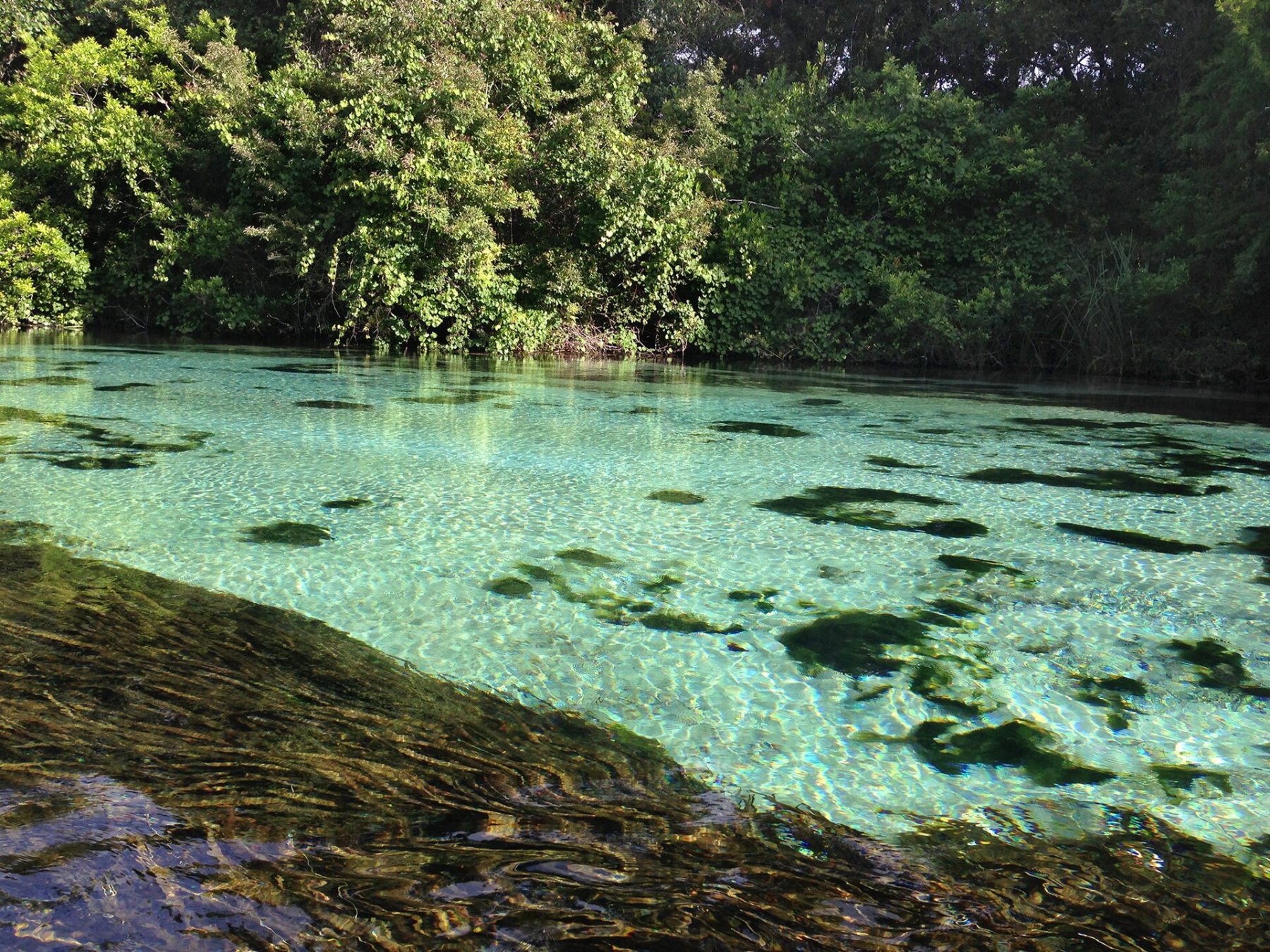 Weeki Wachee